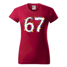 67 vánoční osvětlení