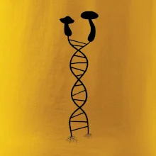 DNA houby DNA houby
