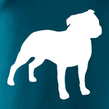 Americký stafordširský teriér  Na prsu