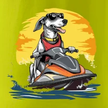 Chrt na vodním skútru