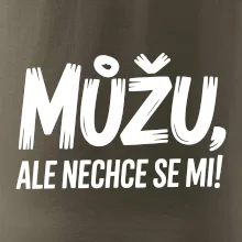 Můžu, ale nechce se mi