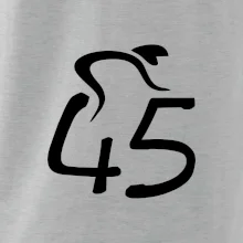 Cyklista slaví pětačtyřicítku (45)