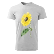 Slunečnice otočená