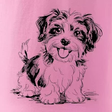 Havanský psík skica