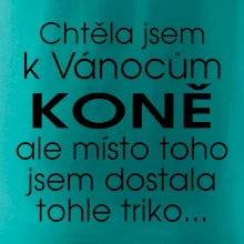 Chtěla jsem k Vánocům koně