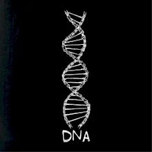 Cyklistovo DNA