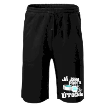 Já jsem prostě útočník (hokej)