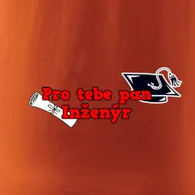 Pro tebe pan Inženýr