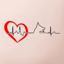 Německý ovčák ekg