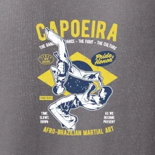 Capoeira  Afro-brazil art