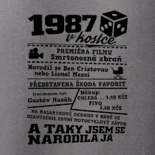 1987 v kostce