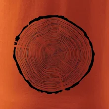 Letokruhy 85 bez věku