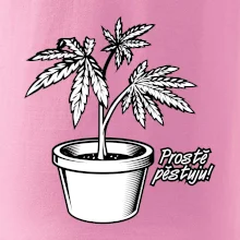 Konopi prostě pěstuju