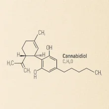 Molekulární struktura CBD (Canabidiol)