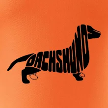 Jezevčík - Dachshund