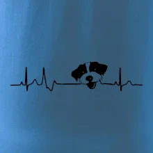 Jack Russell Terriér hrubosrstý Ekg