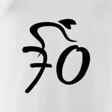 Cyklista slaví sedmdesátku (70)