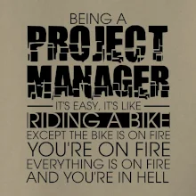 Being A Project Manager - bike