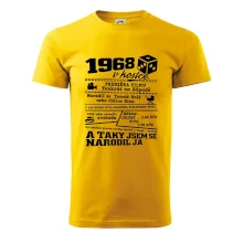 1968 v kostce