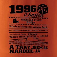 1996 v kostce