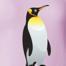 Tučňák se žlutou nákrčenkou