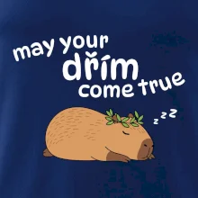 May your dřím come true