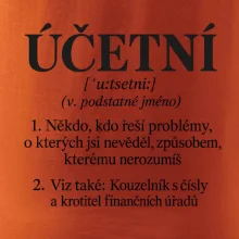 Účetní definice s humorem
