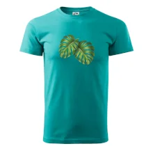 Monstera - dva listy Monstera - dva listy