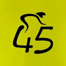 Cyklista slaví pětačtyřicítku (45)