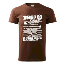 1963 v kostce