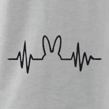 EKG zajíc EKG zajíc