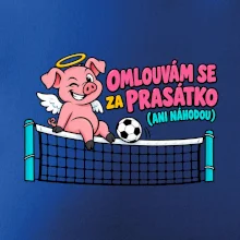 Nohejbalové prasátko na síti