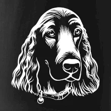 Kokršpaněl - hlava kreslená