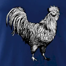 Kohout kreslený černobílý