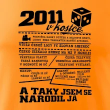 2011 v kostce