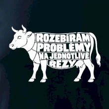 Rozebírám problémy na jednotlivé řezy
