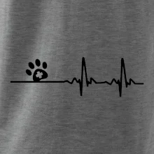 Veterinář EKG Veterinář EKG