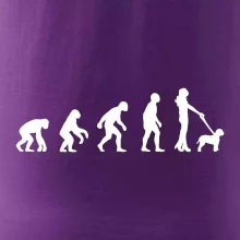 Lagotto romagnolo Evoluce