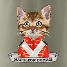 Napoleon domácí kočka