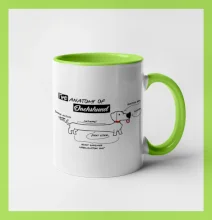 Jezevčík - Anatomie