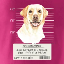 Lump a darebák labrador