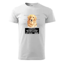 Lump a darebák zlatý retrívr