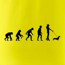 Jezevčík Evoluce žena