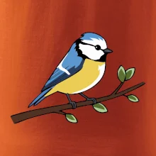 Sýkorka modřinka na větvi