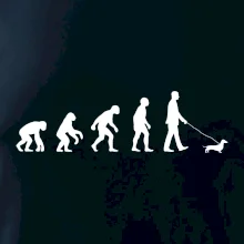 Jezevčík Evoluce muž Jezevčík Evoluce muž