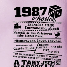 1987 v kostce
