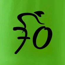 Cyklista slaví sedmdesátku (70)