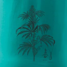 Konopí kytka černobílá