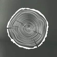 Letokruhy 45 bez věku