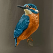 Lednáček kreslený